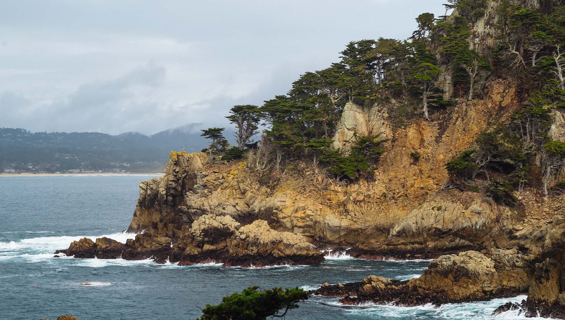 sustainable outdoor furniture page header image - coastal forest