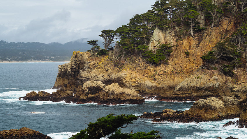 sustainable outdoor furniture page header image - coastal forest