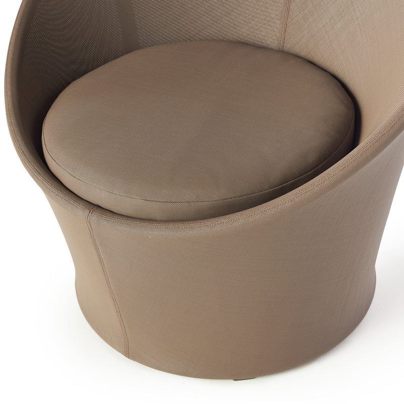 Apollo Lounge Chair in Coffee